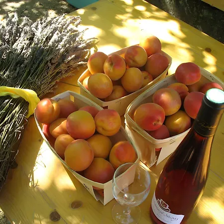 La Motette Drome Provencale * Rousset-les-Vignes